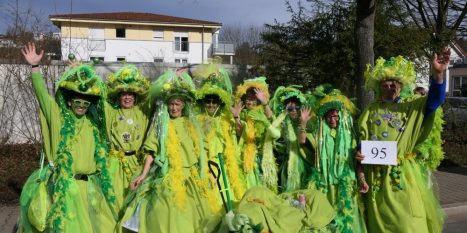 Fastnachtsumzug-Brusl-Ahoi-2020-14