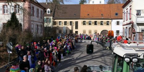 Fastnachtsumzug-Brusl-Ahoi-2020-51