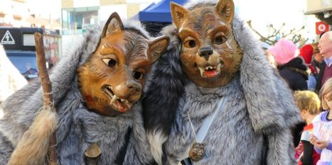 Fastnachtsumzug-Brusl-Ahoi-2020-85