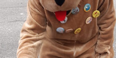 IMG-20240204-WA0028 (002)