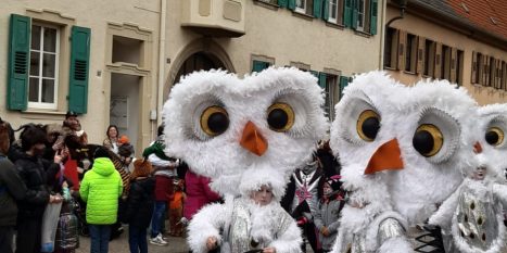 IMG-20240204-WA0035 (002)