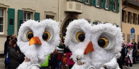 IMG-20240204-WA0036 (002)